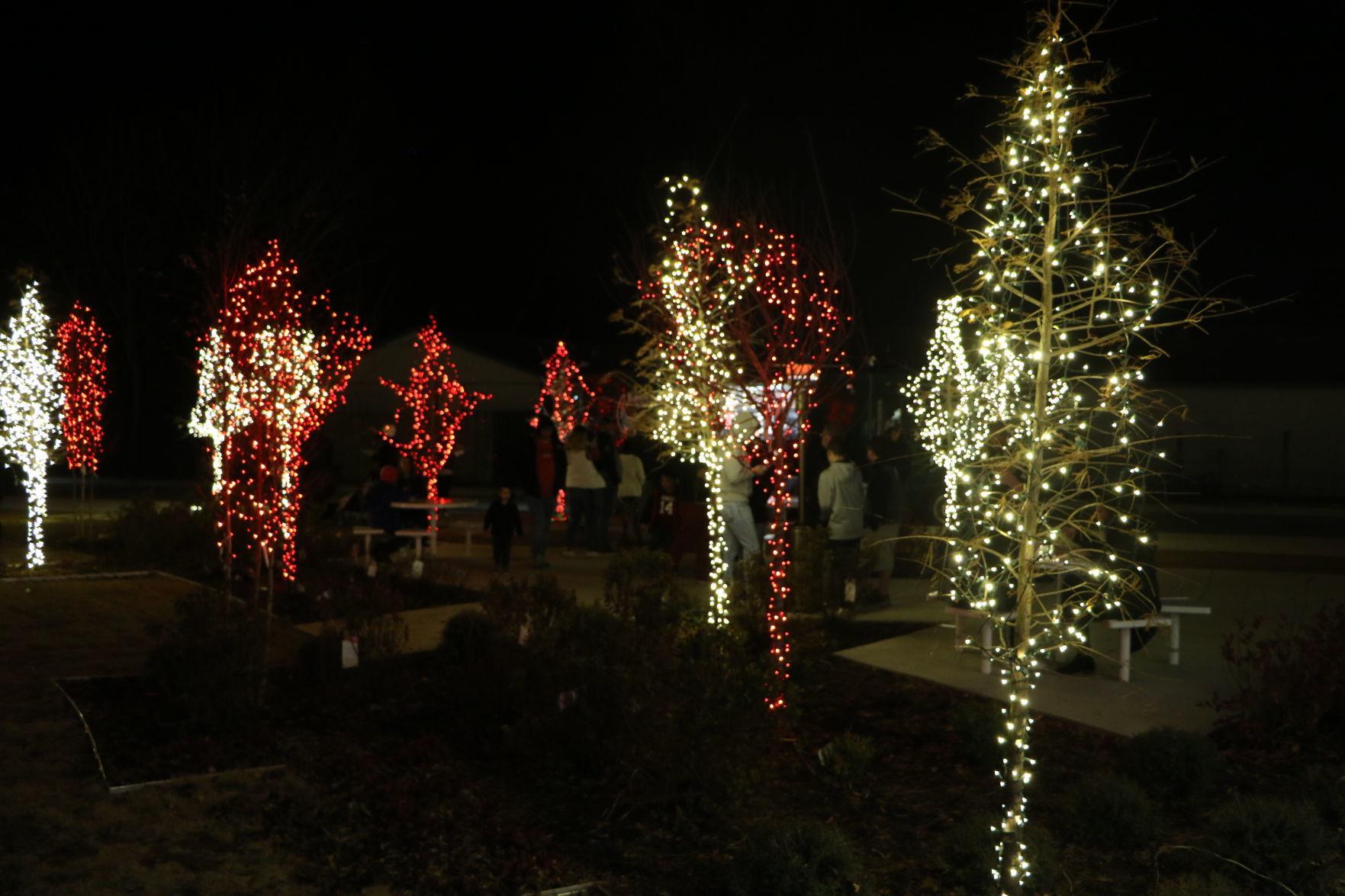 Lights on Owasso